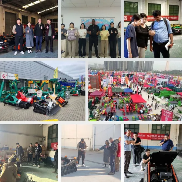 Vigorun MTSK800 Industrial 420cc Remote Control Flail Mower CE EPA Euro5 Gasoline Engine Grass Cutting Machine photo-6