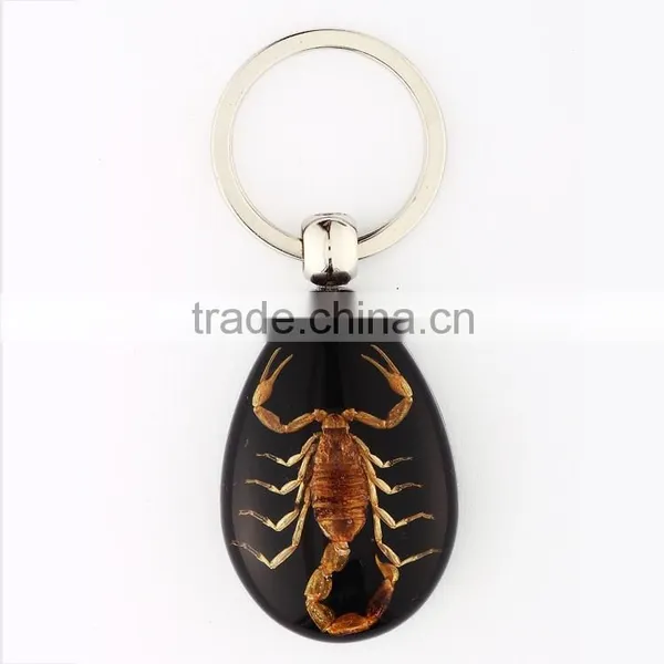 Real Insect Keychain With Scorpion photo-4
