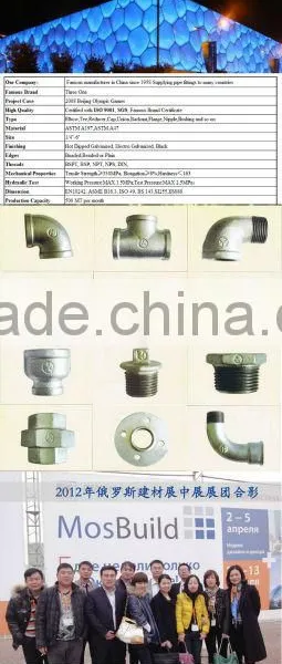Zinc/galvanised Carbon Steel Pipe Fittings Sch40 NPT Steel Nipples photo-4