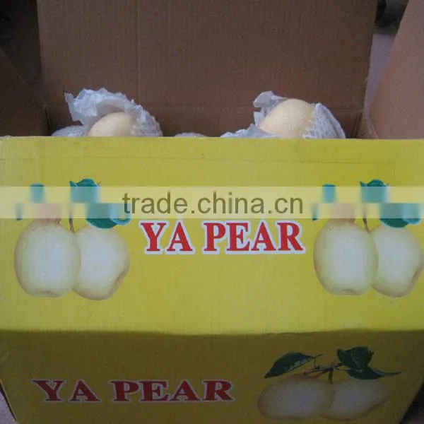 Chinese Ya Pear Supplier, Asian Pear, Golden Pear