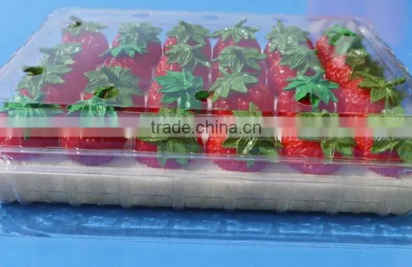 Punnet Clamshell Blister Plastic Packaging Container 500 Gram photo-4