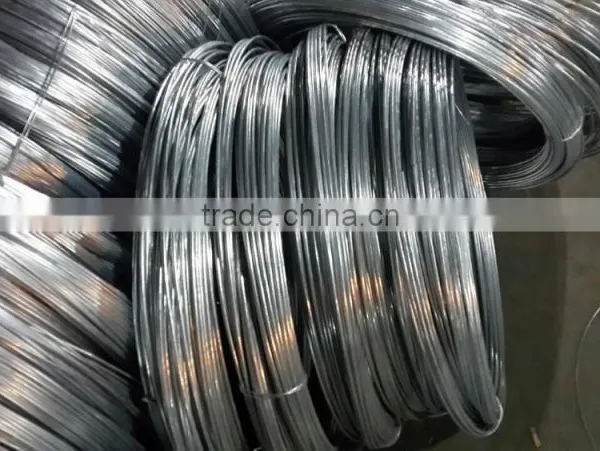Q195 Iron Wire photo-5