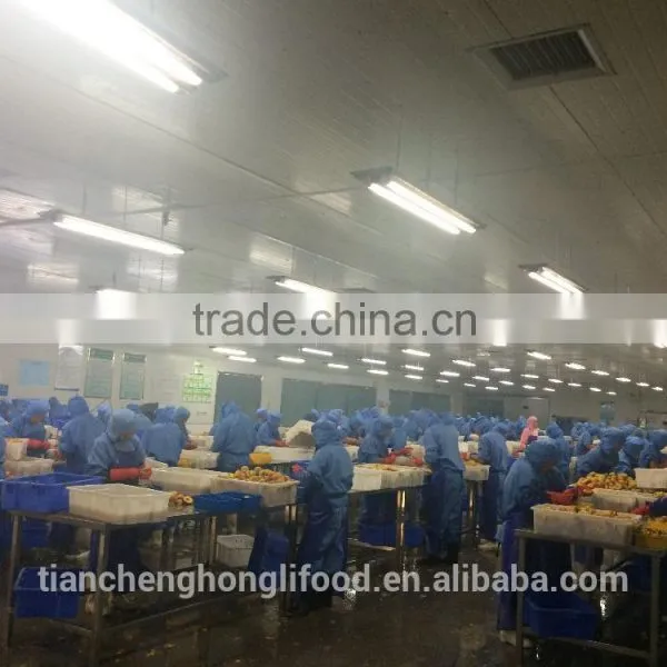 Jintong Quick Free IQF Yellow Peach Cube photo-3