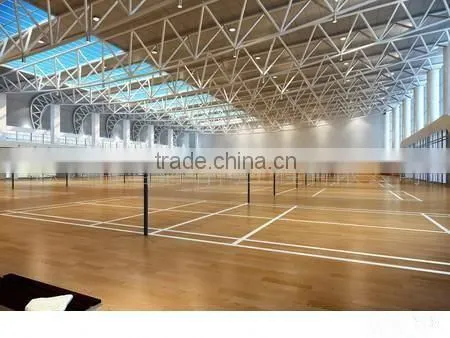 Bright & Big span Steel Sport building Q345B