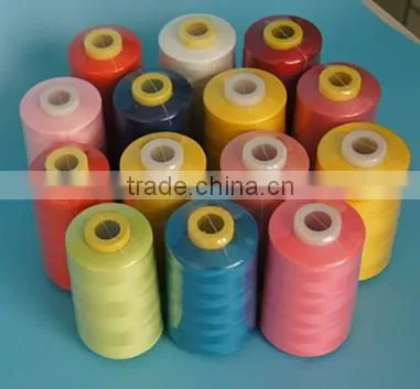 Polyester Color Sewing Thread photo-2