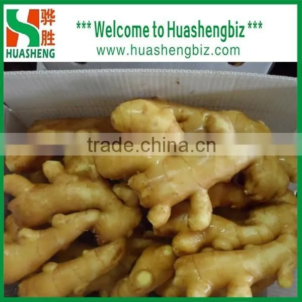 Chinese Natural Fresh Ginger/dried Ginger/Air Dried Ginger Prices