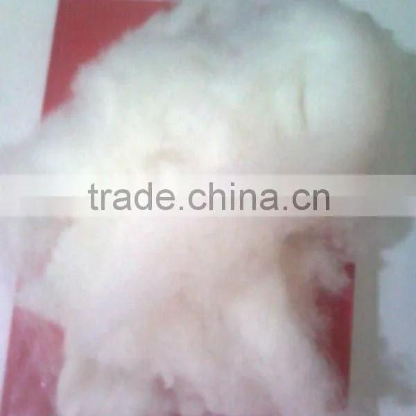 The Best Quality of Sheep Cashmere Fiber