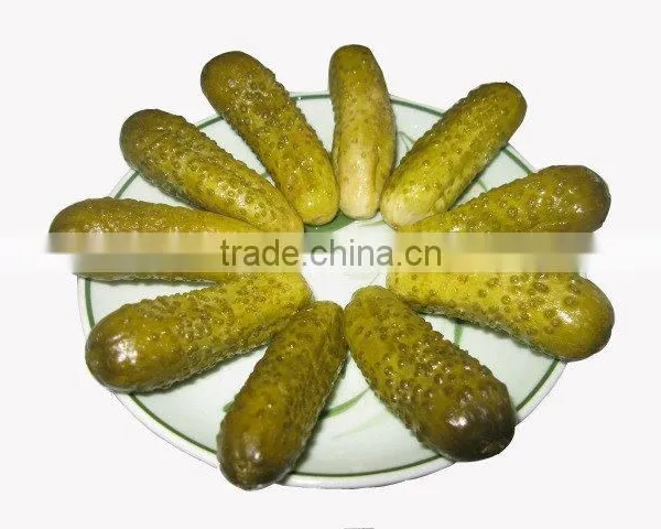 Vietnam Fresh Pickled Cucumbers in Jar, Gherkins 3-6cm in Bulk - Best Quality by HAGIMEX photo-4
