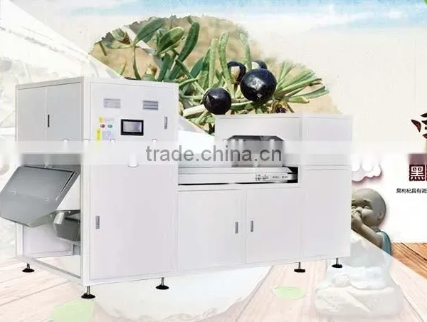 Stability Best,hot Selling,macadamia Nut Processing Machine photo-6