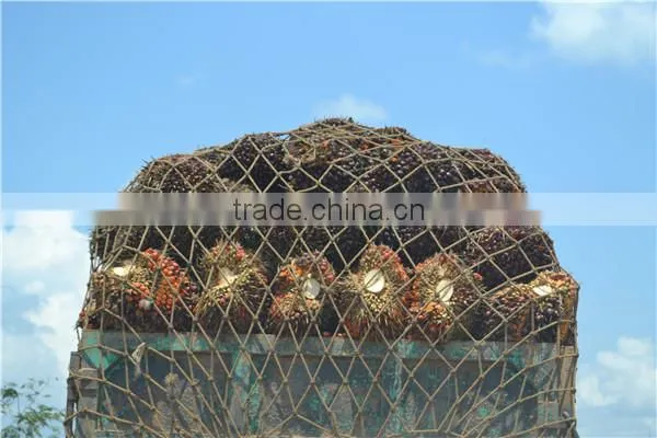 Large Energy Saving Edible Palm Kernel Oil Press Machine Spiral Press Machinery photo-4