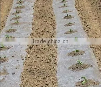 plastic mulch film