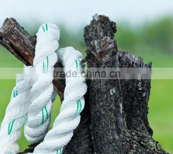 Chemical Resistance Polyester Rope photo-5
