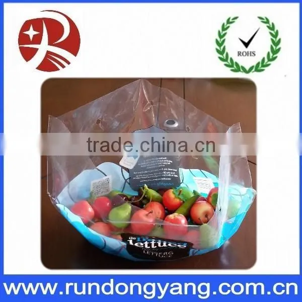 Plastic Fruit Packing Protection Bag With Air Holes photo-3