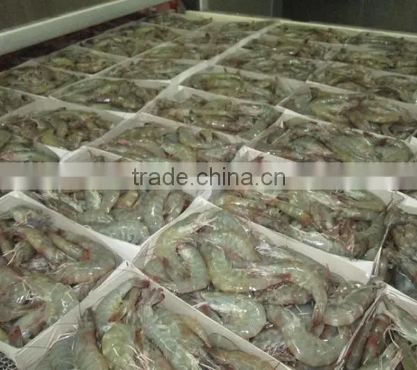 Genuine Quality Vannamei HLSO Shrimp Available in Eco-Friendly Packaging photo-5