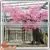 Artificial Indoor Cherry Blossom Tree Fake Wedding Wishing Blossom Tree Plastic Flower Trees And Plants Sale Peach Blossom photo-5