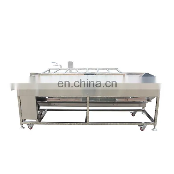 Industrial Automatic Red Bell Pepper Onion Tomato Vegetable Brush Roll Washing Machine for Sale photo-4
