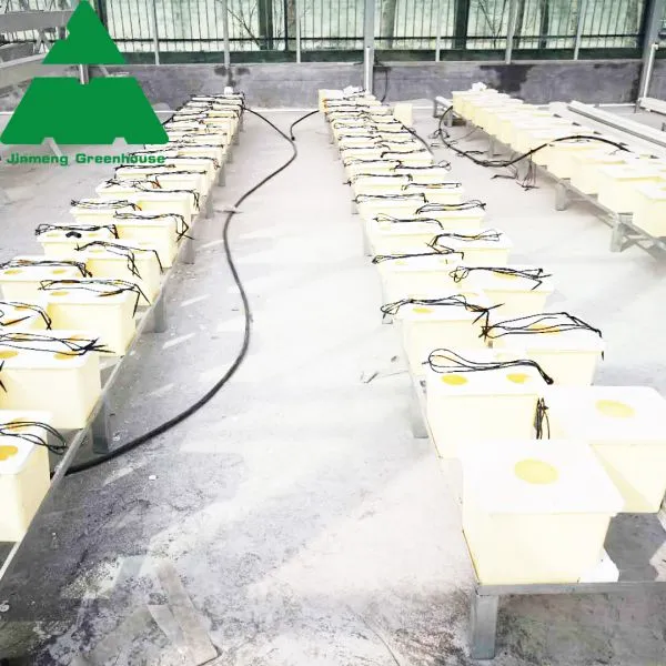 Hydroponic PC Sheet Greenhouse for Cucumber/Tomato/Lettuce photo-3