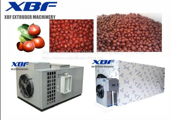 Red Date Jujube Dehydration Air energy Dryer Machine