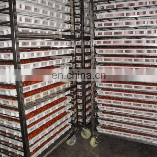 Vegetable&Fruit Drying Machine/Dryer/Drying Cabinet/Oven photo-2