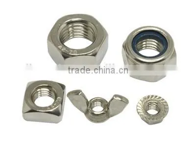 Hexagonal Nylon Lock Nut photo-2