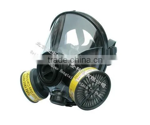 Full Face Mask