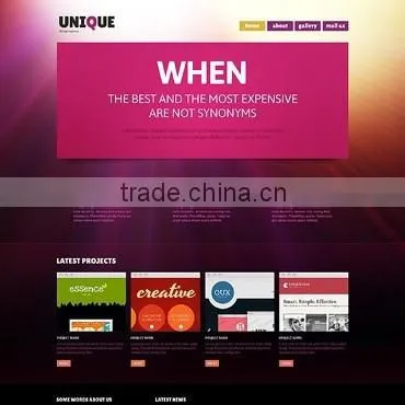 Web Designer photo-5