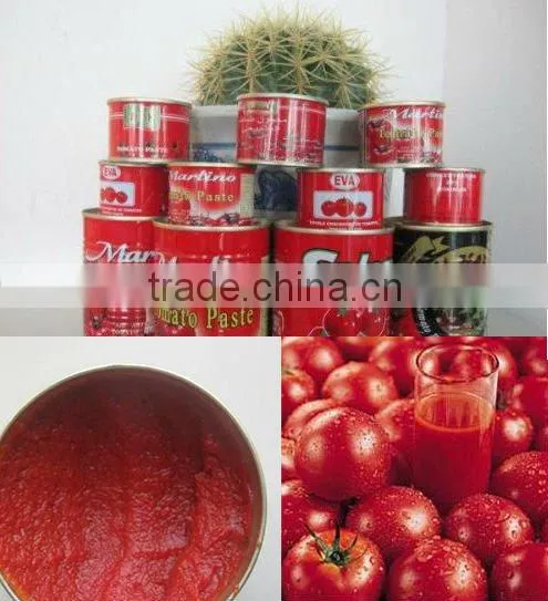 2016 New Sauce Canned Tomato Paste photo-6