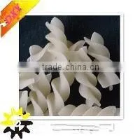All Kinds of Shapes Italy Macoroni Pasta Making Machine/processing Line photo-3
