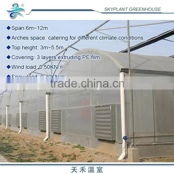 Plastic Agriculture Film Greenhouse for Sale