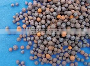 Ceramic Grain Filter for BAF Wastewater Treatment photo-3