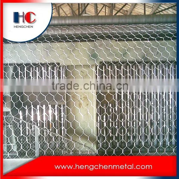 Dog Kennel Hexagonal Wire Mesh Products photo-6