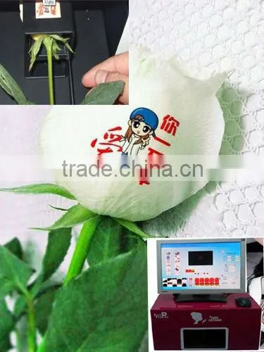 Rose flower printer