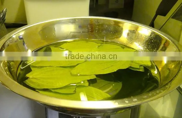 Pure Betel Leaf Oil | Betel Leaf Essential Oil For Export Only photo-2