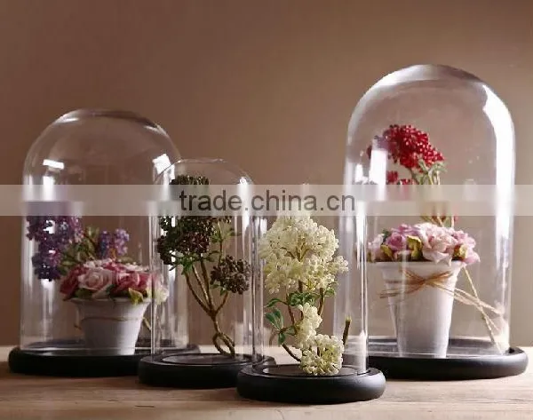 Wholesale Clear Glass Bell Jar With Wooden Base, High Quality Glass Bell Jar Dome Manufacture photo-2
