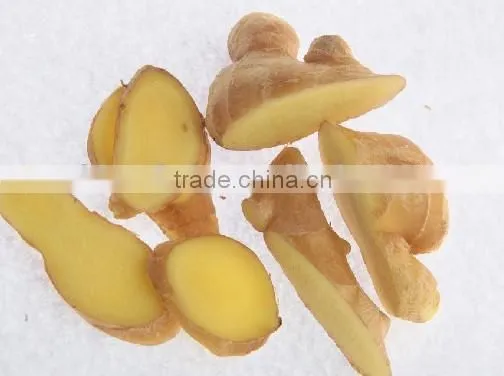 Young Fresh Ginger for Sale photo-2