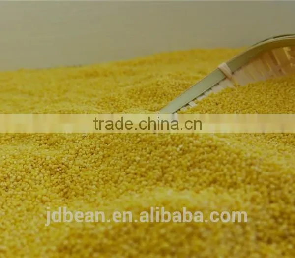 Organic Hulled Glutinous Yellow Millet for Vacuum Packing and Bulk photo-2