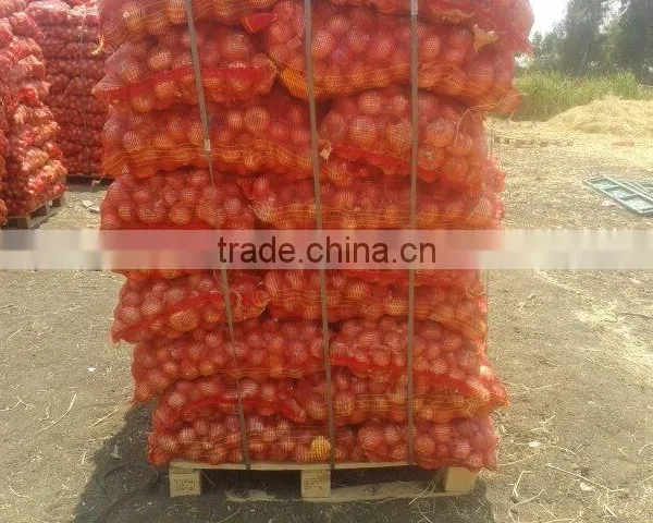 EGYPTION ONION Farm Fresh Shallot Onions  Super Quality  With Great Price Promotion photo-2