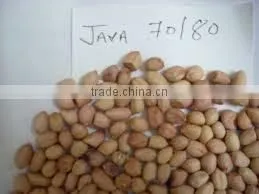 Java Peanuts photo-3