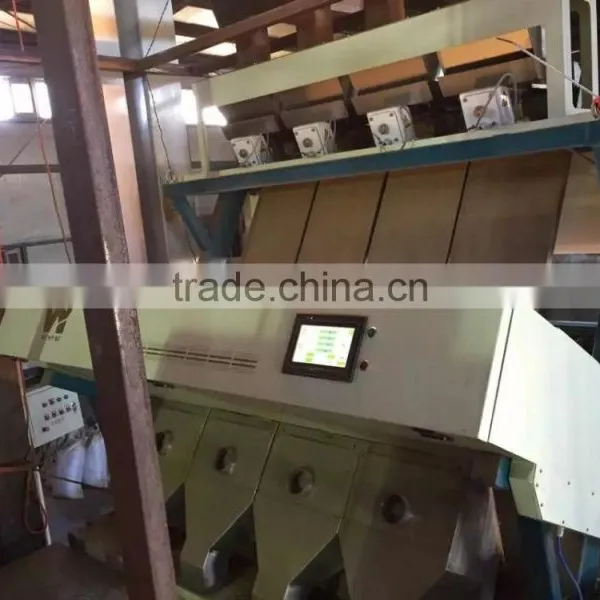 Low Energy Consumption Ccd Camera Sea Salt Color Sorter Machine photo-3