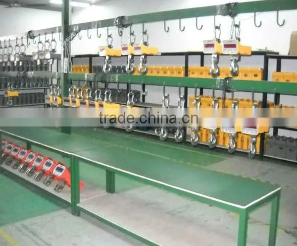 5ton Weighing Crane Electron Digit Scale photo-3