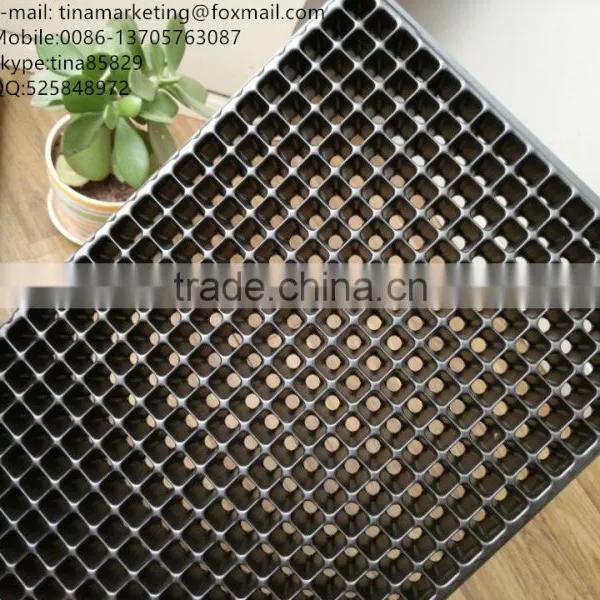 512 Cell Black HIPS Plastic Nursery Seed Propagator Tray, Plastic Plant Seedling Trays China Manufactory Price photo-2