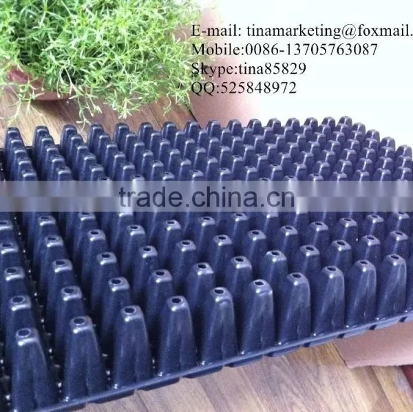PS Material Plastic Plant Nursery Seedling Black Hole Tray 288 Cell With Different Thickness photo-3