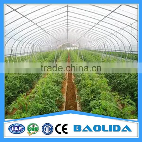 BaoLiDa Agricultural Greenhouse photo-3