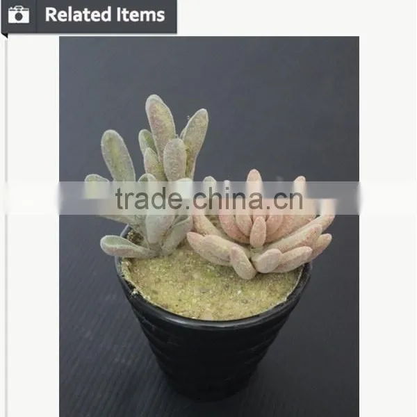 Cute Artifiical Mini Succulent With Ceramic Pot photo-6