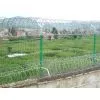 Razor Wire Mesh photo-2