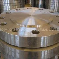 Stainless/ Carbon Steel Pipe Flanges