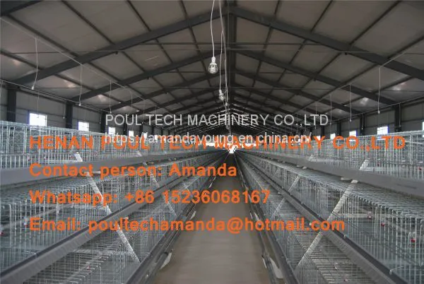 Qatar Poultry Farming A Type Battery Broiler Cage & Chicken Cage & Poultry Farm Equipment With Automatic Feeding & Drinking System photo-2