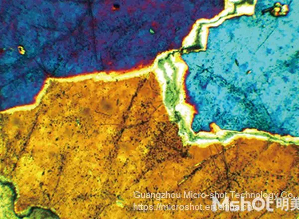 Professional Polarizing Microscope MP41 photo-3