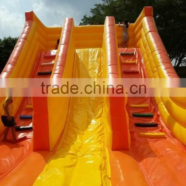 2015 Newest Shark PVC Trapualin Inflatable Water Slides for Kids or Adults photo-3