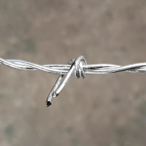 High Quality 50kg Barbed Wire Price Per Roll / Galvanized Barbed Wire Mesh Stainless Steel Barb Wire Fence Roll photo-4